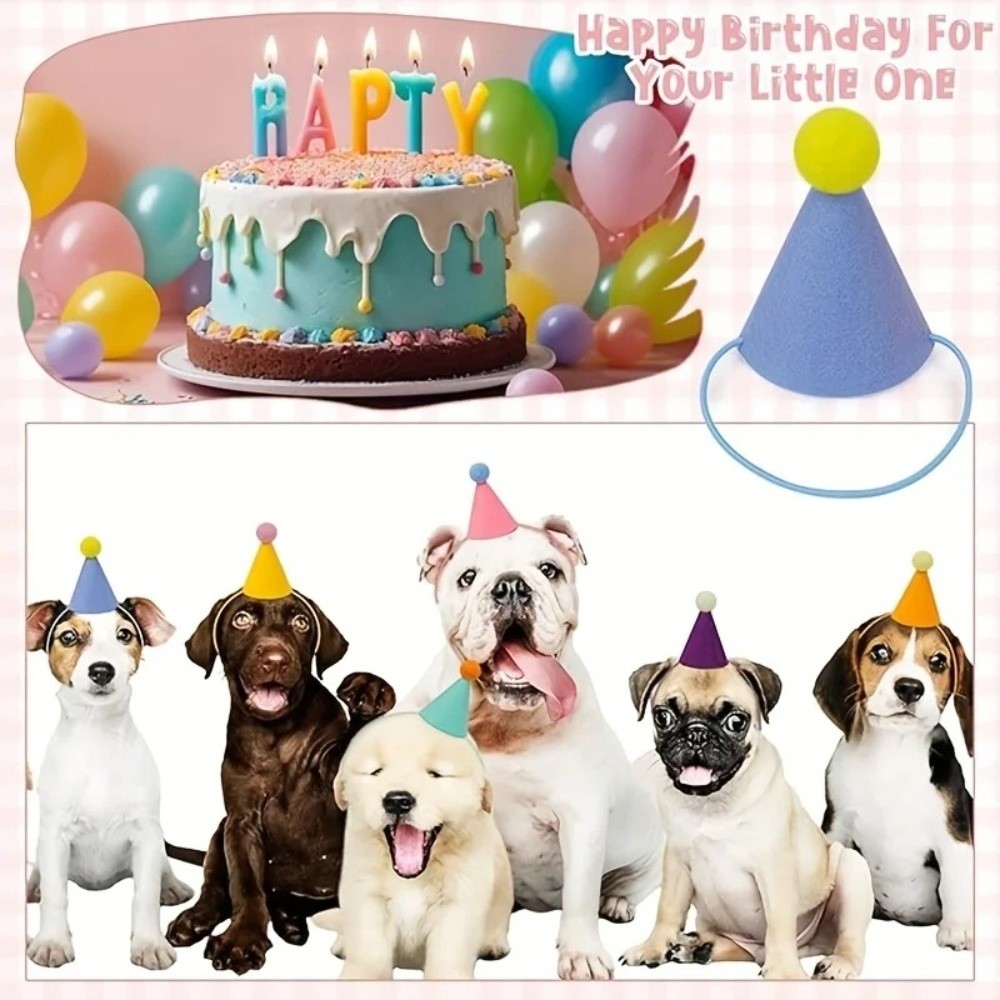 مجموعة جديدة من 6 قطع من قبعات - مراجعة Party Hat Cone وسعره